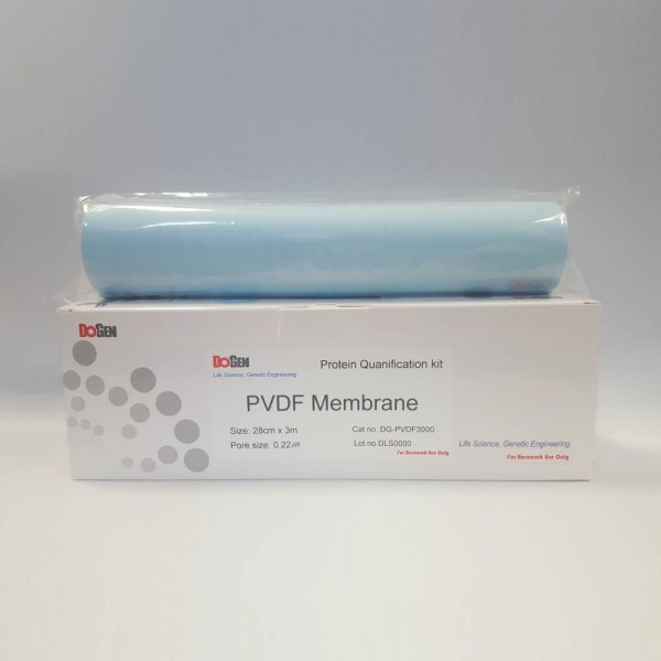 PVDF Membrane